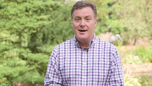 Cobra GTRM38 15 inch Electric Lawnmower