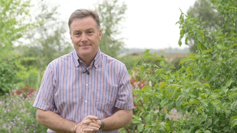 Cobra WT56B 22" Wheeled Trimmer