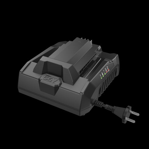 EGO CH3200E 320W Quick Charger