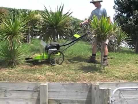 Grillo HWT 600 WD Walk Behind Strimmer