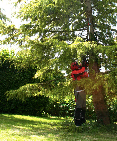 Mitox 28PP Long Reach Petrol Pole Pruner