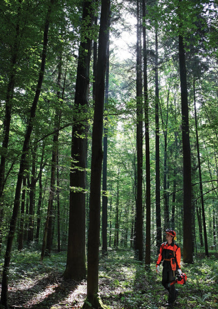 Echo CS-501SX Petrol Chainsaw 18" Bar