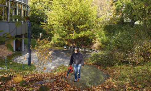 Echo PB-2520 Petrol Blower